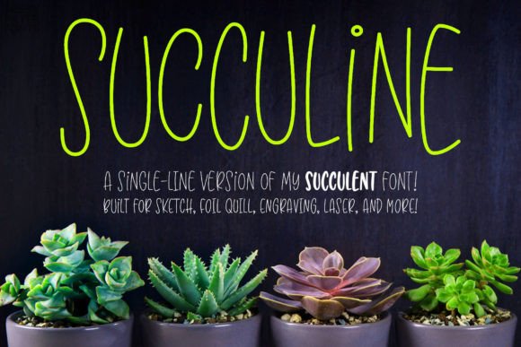 Succuline single Line: Modern Typography for Creative Design